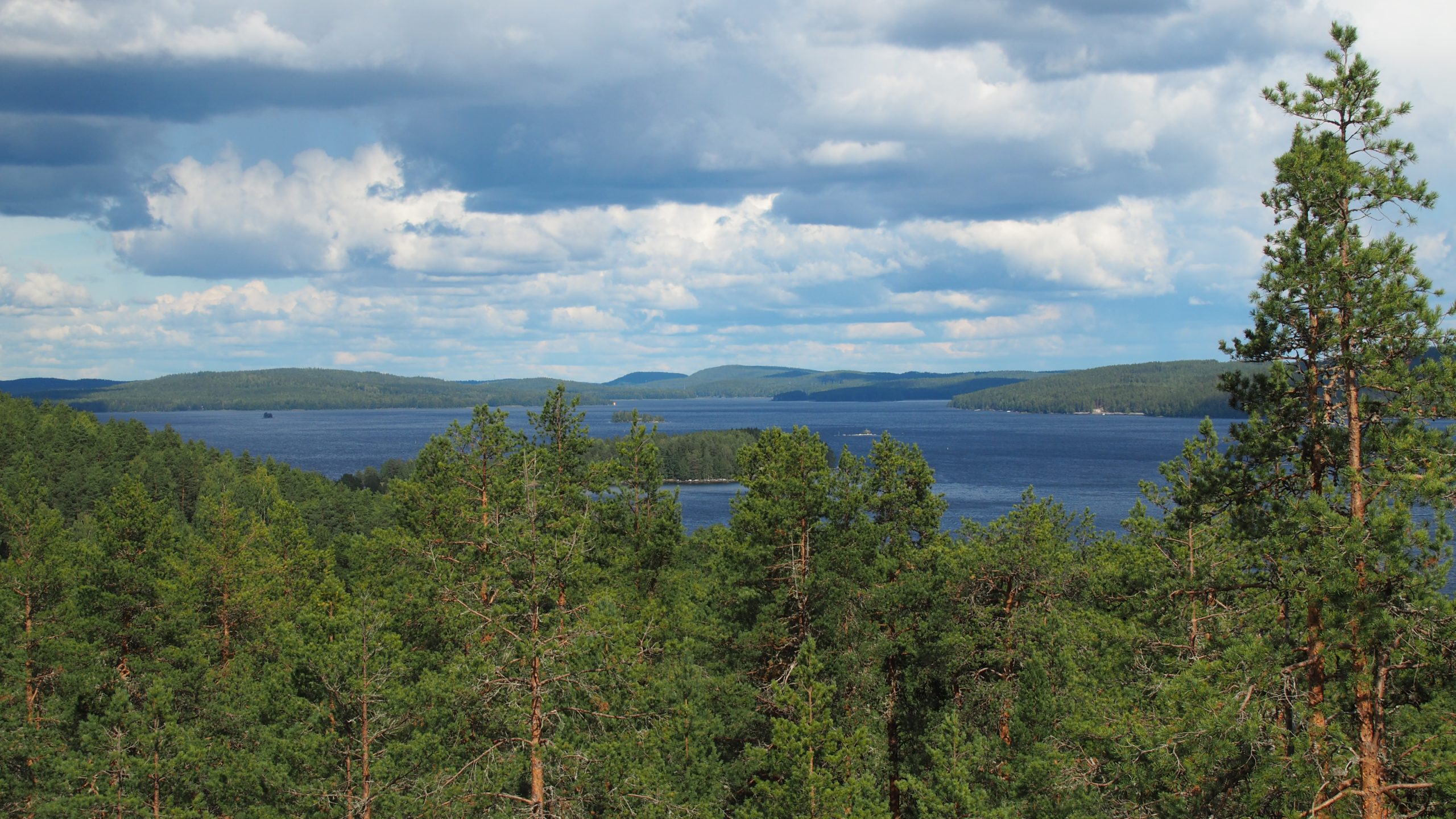 L.A. Chorusin laulajien kokemuksia yhteisestä viikostamme: Mariangela